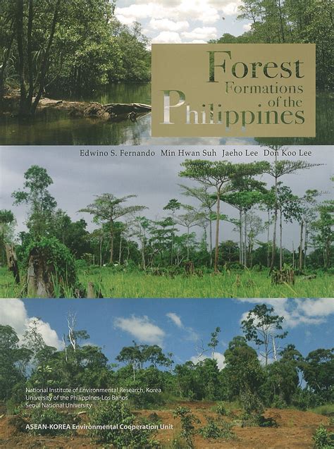 (PDF) Secondary forests in the Philippines: Formation .